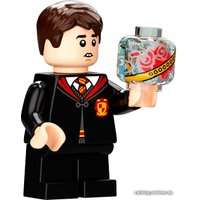 Конструктор LEGO Harry Potter 76395 Хогвартс: первый урок полетов
