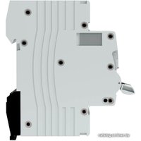 Дифференциальный автомат EKF Averes DVA-6 2P 25А 30мА (B) 6кА тип AC rcbo6-1pn-25B-30-ac-av в Солигорске