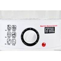 Пароварка GFgril GFS-2M (белый)