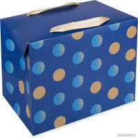 Пакет подарочный Stilerra BBOX-1M 01 18x13x23 см в Бресте