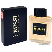 Туалетная вода Neo Parfum Sent Bussi Pour Homme EdT (100 мл)
