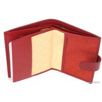 Обложка на документы Fabretti Q09D-51 в Гомеле