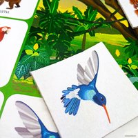 Развивающая игра Десятое королевство Зоопарк 00079