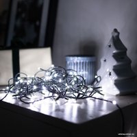 Светодиодная гирлянда Retlux RXL 204