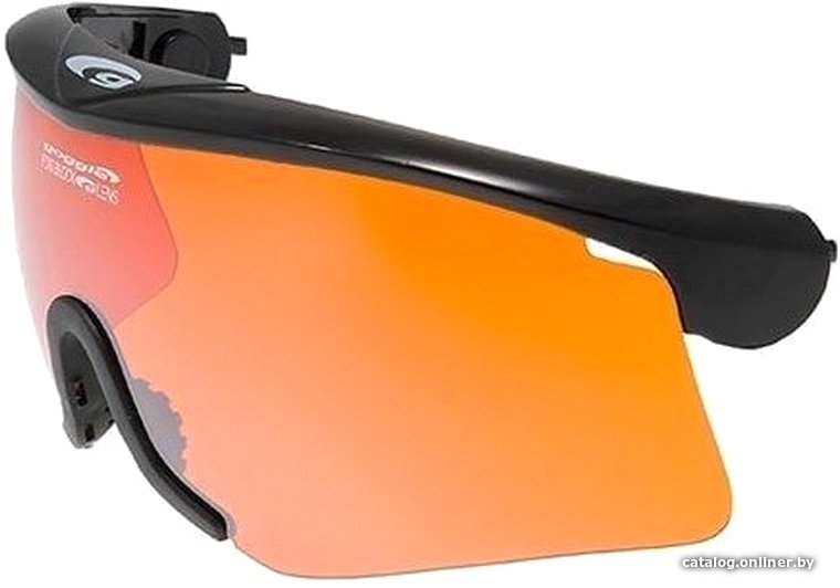 Лыжи Goggle T326C