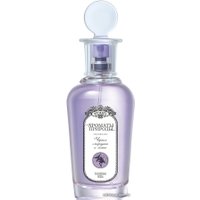 Туалетная вода Брокаръ Ароматы Природы. Черная смородина и мята EdT (100 мл)