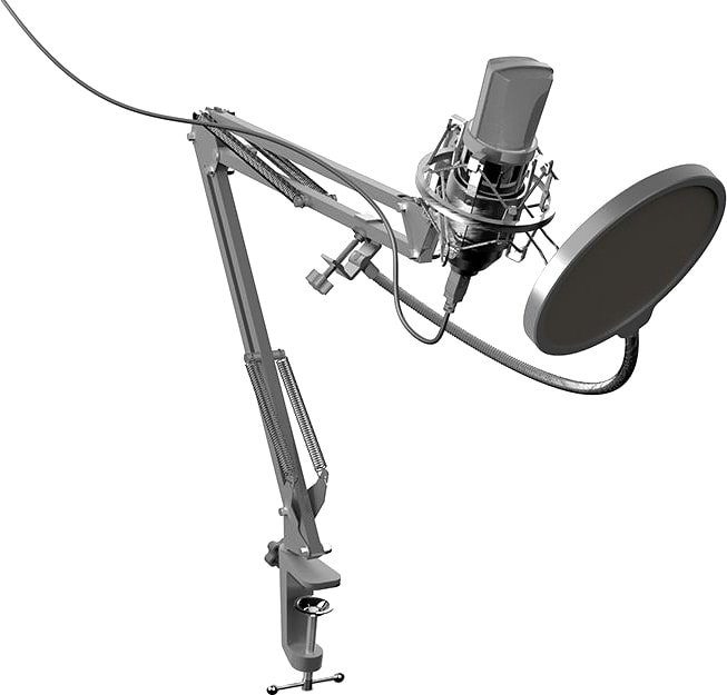

Проводной микрофон Ritmix RDM-169