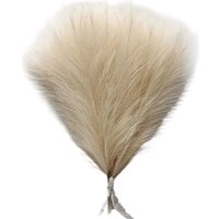 Искусственный букет Sundays Home Камыши 6405000801A (15 шт, бежевый)