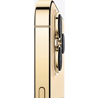 Телефон Apple iPhone 13 Pro Max 1TB (золотой)