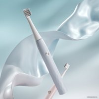 Ирригатор  Evolution WF-01 + Электрическая зубная щетка Enchen T501 (серый)