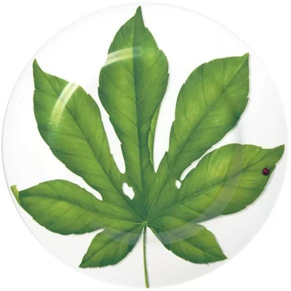 

Блюдо Taitu Freedom Leaf 1-86-B
