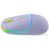 Мышь Canyon MW-22 (сиреневый)