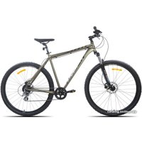 Велосипед Racer Expert 29 2023 (серый)