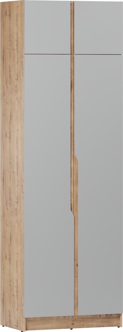 

Шкаф распашной ЭлиГард Aura 2Da (дуб вотан/дымчатый алмаз)