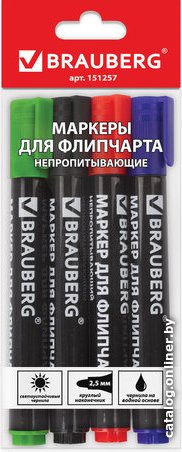 Набор маркеров BRAUBERG 151257 (4 шт)