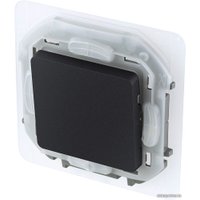 Выключатель Legrand Inspiria 673673