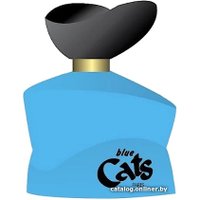 Туалетная вода Guy Alari Blue Cats EdT (100 мл)