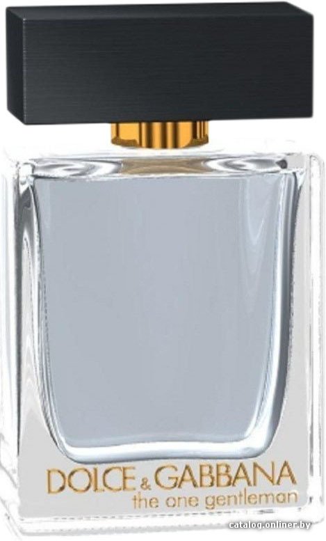 Туалетная вода Dolce&Gabbana The One Gentleman EdT (100 мл)