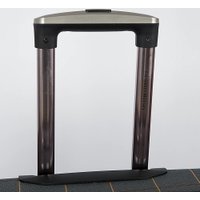 Чемодан-спиннер Francesco Molinary 219-1094FM-5-20GRY (серый)