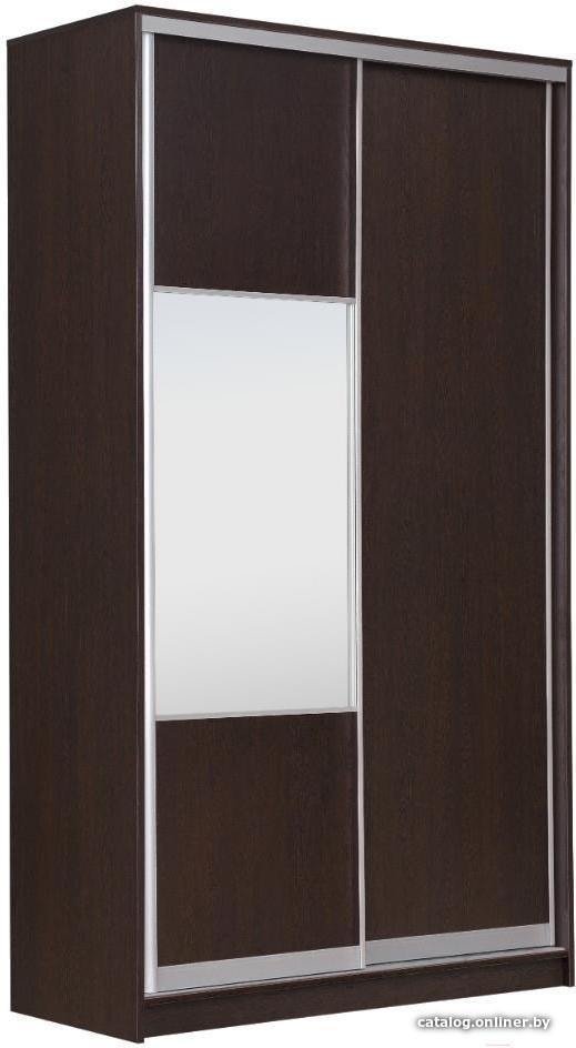 Шкаф-купе Рэйгрупп 138450 VVX Elgon РГ-11.05 (венге/венге/хром)