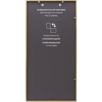 Интерьерные зеркала Алмаз-Люкс М-421 100х50