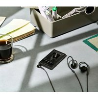 Hi-Fi плеер Sony Walkman NW-A306 (серый)