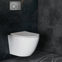 Панель смыва Roxen Steel 420260G