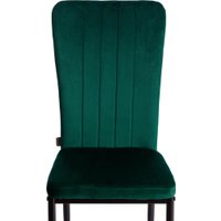 Стул TetChair Verter металл/флок 41x52x95 (зеленый HLR56/черный)