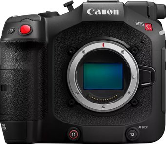Видеокамера Canon EOS C80