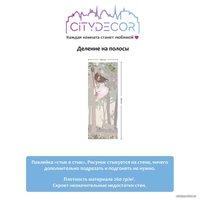 Виниловые обои Citydecor Princess 6 100x260