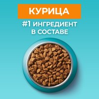 Сухой корм для кошек Purina ONE для домашних с курицей 750 г в Бресте