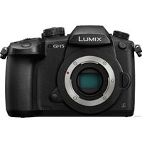 Беззеркальный фотоаппарат Panasonic Lumix DC-GH5 Body