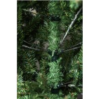 Ель Royal Christmas Washington Promo 98180 1.8 м