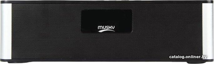 Беспроводная колонка Musky DY21L (черный/серебристый)
