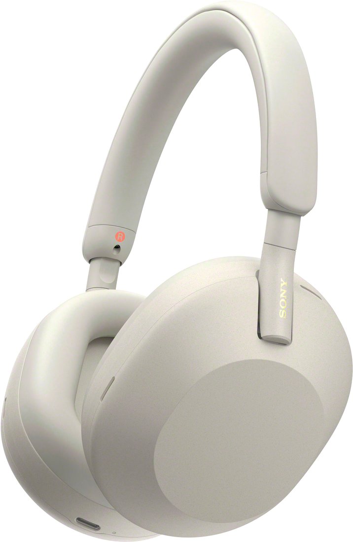 

Наушники Sony WH-1000XM5 (серый)