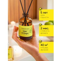 Аромадиффузор Solex Лайм и имбирь (50 мл) в Витебске