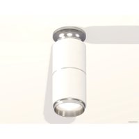 Припотолочная люстра Ambrella light Techno XS6301241 SWH/PSL