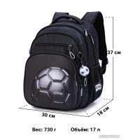 Школьный рюкзак SkyName R3-267 + брелок мячик