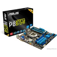 Материнская плата ASUS P8B75-M