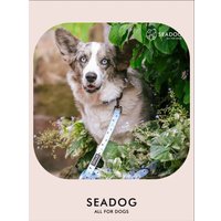 Ошейник Seadog Blue Seagull M в Солигорске