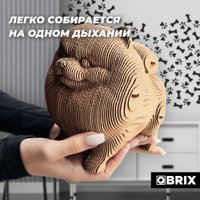 3Д-пазл QBRIX Шпиц 3D 20023