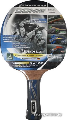 Ракетка для настольного тенниса Donic-Schildkrot Legends 5000 754439