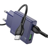 Сетевое зарядное Hoco N45 USB Type-C (титановый синий)