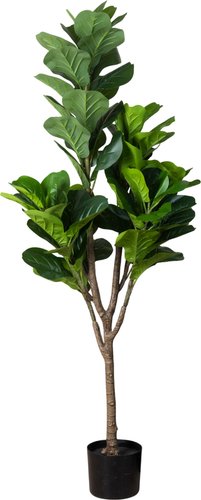 Искусственное растение Merry Bear Home Decor Фикус Лировидный AX297145