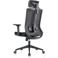 Офисное кресло Evolution ERGO BLISS Black (черный)