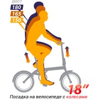 Велосипед Shulz Hopper XL 2025 (серебристый)