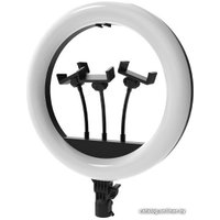 Кольцевая лампа Ritmix RRL-360