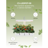 Умный сад CACTUS CS-LEDPOT-08