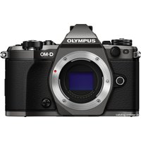 Беззеркальный фотоаппарат Olympus OM-D E-M5 Mark II Body Limited Edition