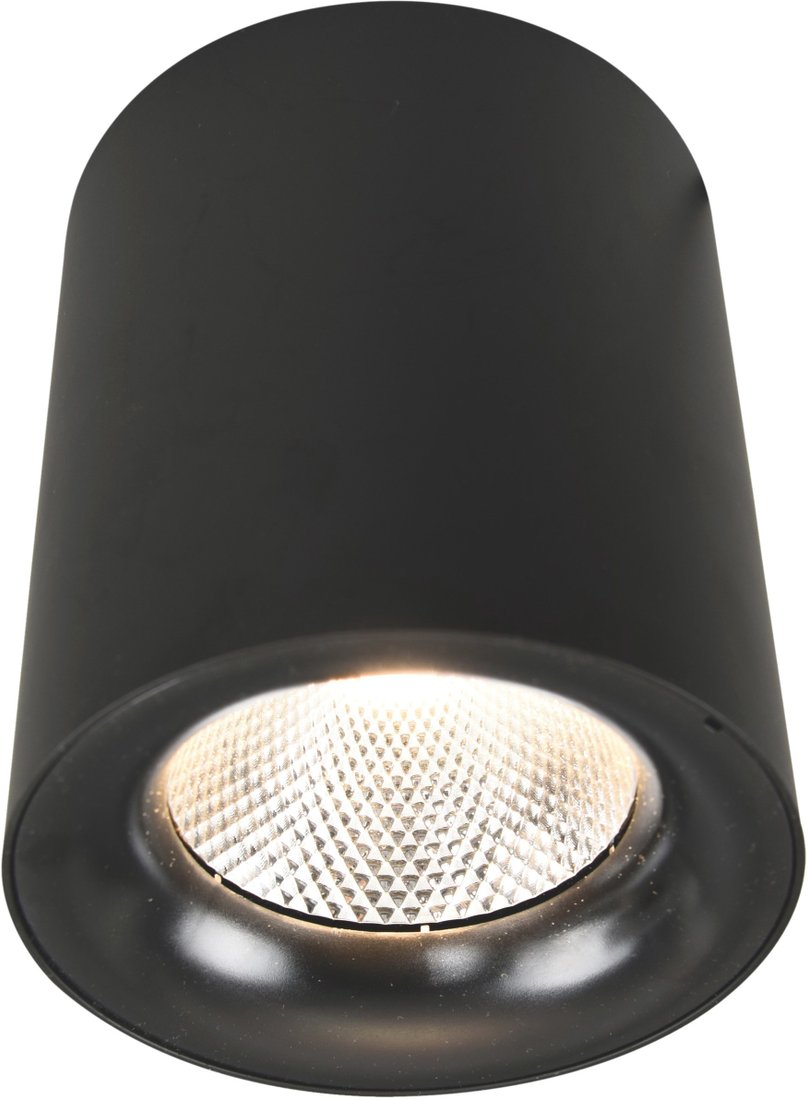 

Точечный светильник Arte Lamp Facile A5118PL-1BK